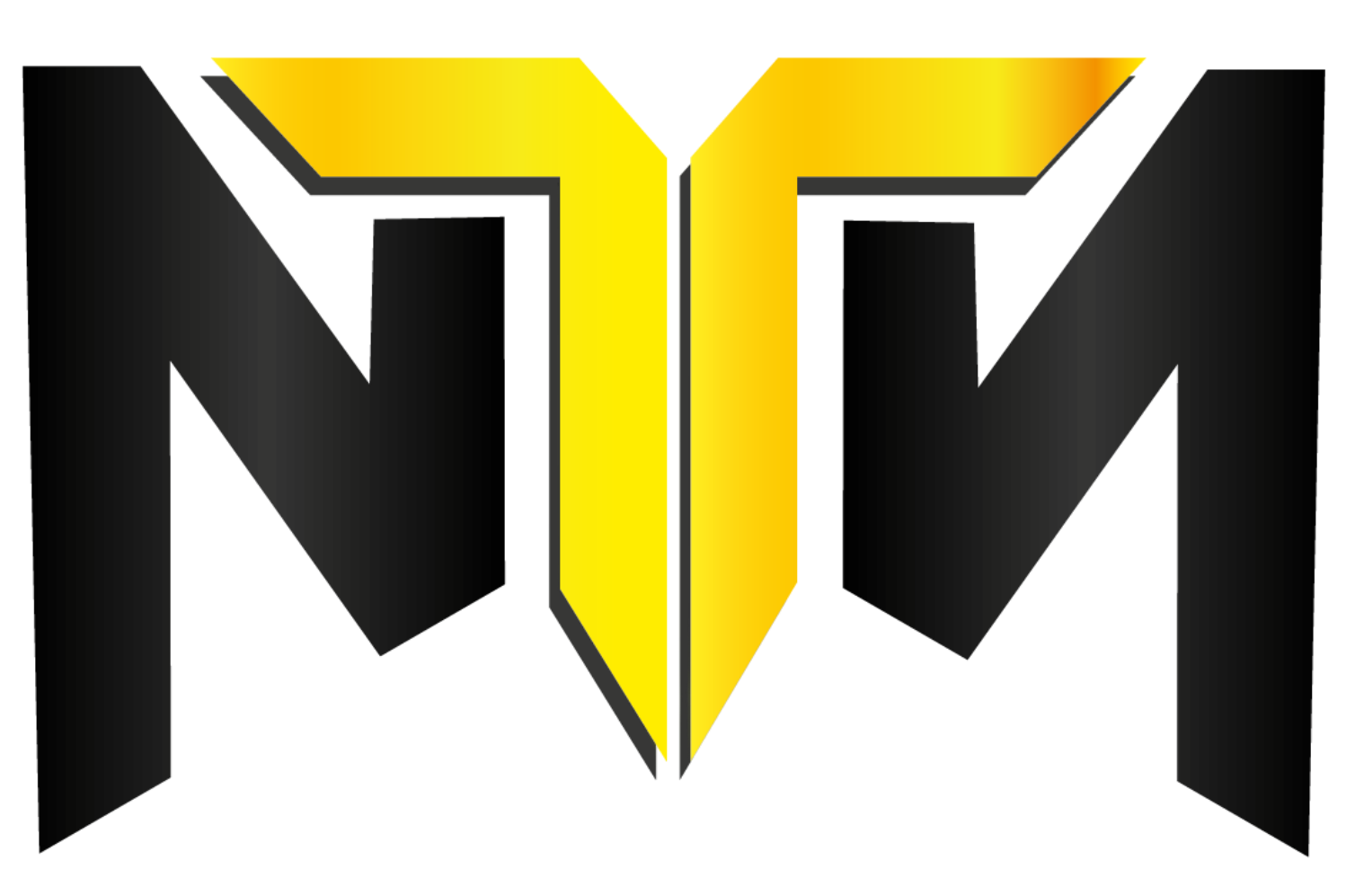 logo ntn